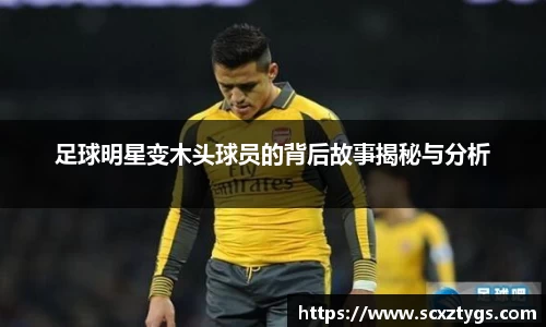 365WM完美体育官方网站