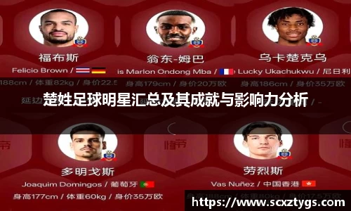 楚姓足球明星汇总及其成就与影响力分析